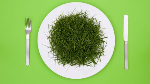 grass fed beef