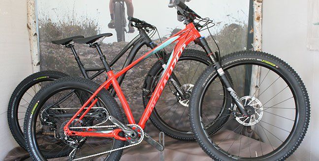 standard mountain bike tire size