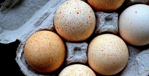 7 Reasons To Swap Your Breakfast Cereal For Eggs