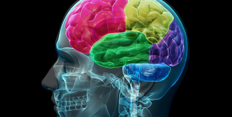 Brain Health Alzheimer's Herpes