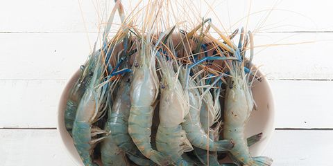 Disgusting Facts About Farmed Shrimp