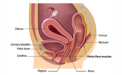 Do Kegels Work Prevention