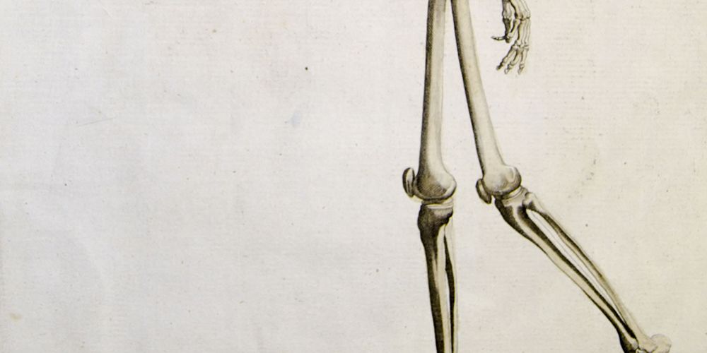 Is Weight-Bearing Exercise Really Useless for Bone Strength? | Runner's