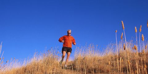 Ultrarunners' daily diets were studied.