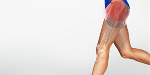Human leg, Joint, Elbow, Ball, Knee, Colorfulness, Thigh, Calf, Muscle, Toy, 