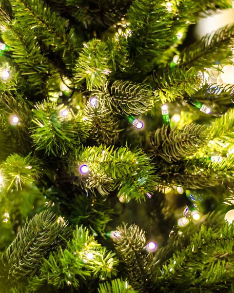 Why Do We Have Christmas Trees? - Christmas Tree OriginHistory Of ...