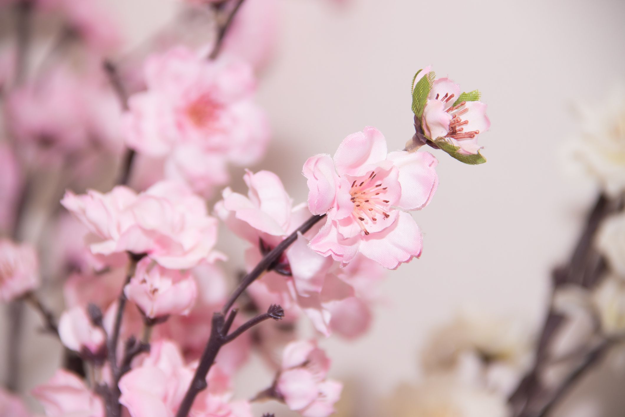 Amazon S Fake Cherry Blossom Trees Look Realistic Where To Buy Fake Cherry Blossoms