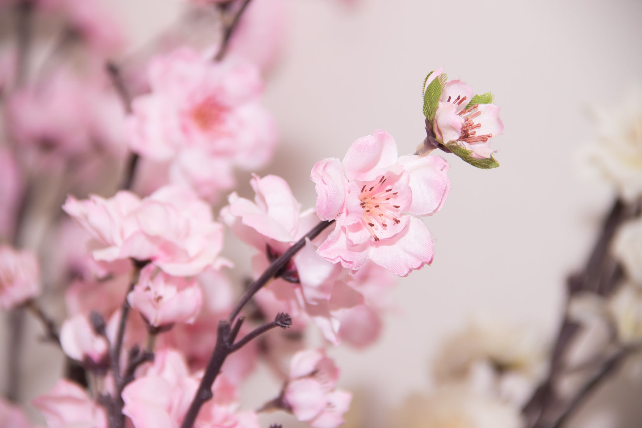 fake pink flowers