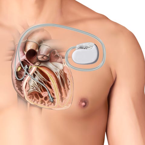 pics Inside Human Body Real Pictures network that lives inside your body