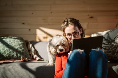Artist Drawing At Home In Company Of Her Poodle Dog Artist Drawing At Home In Company Of Her Poodle Dog