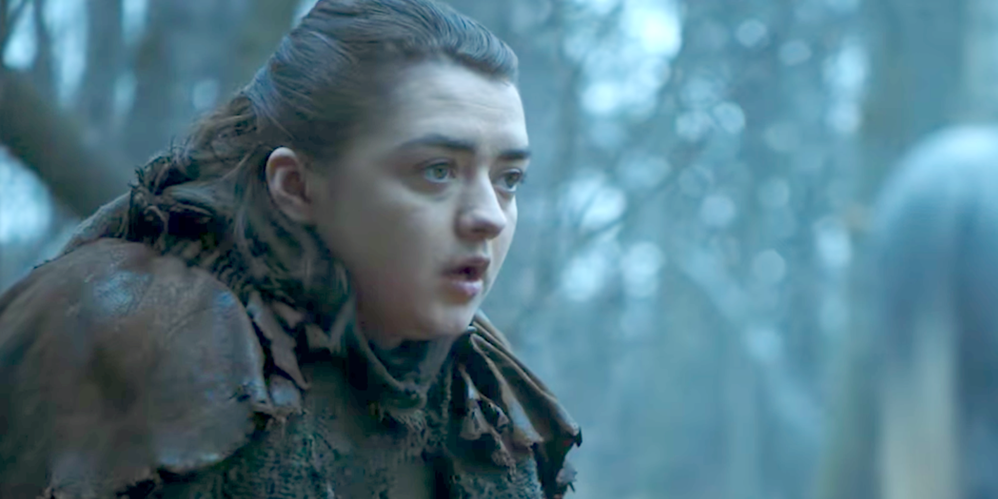 Game Of Thrones Fans Think This Character Made A Comeback As A Ghost