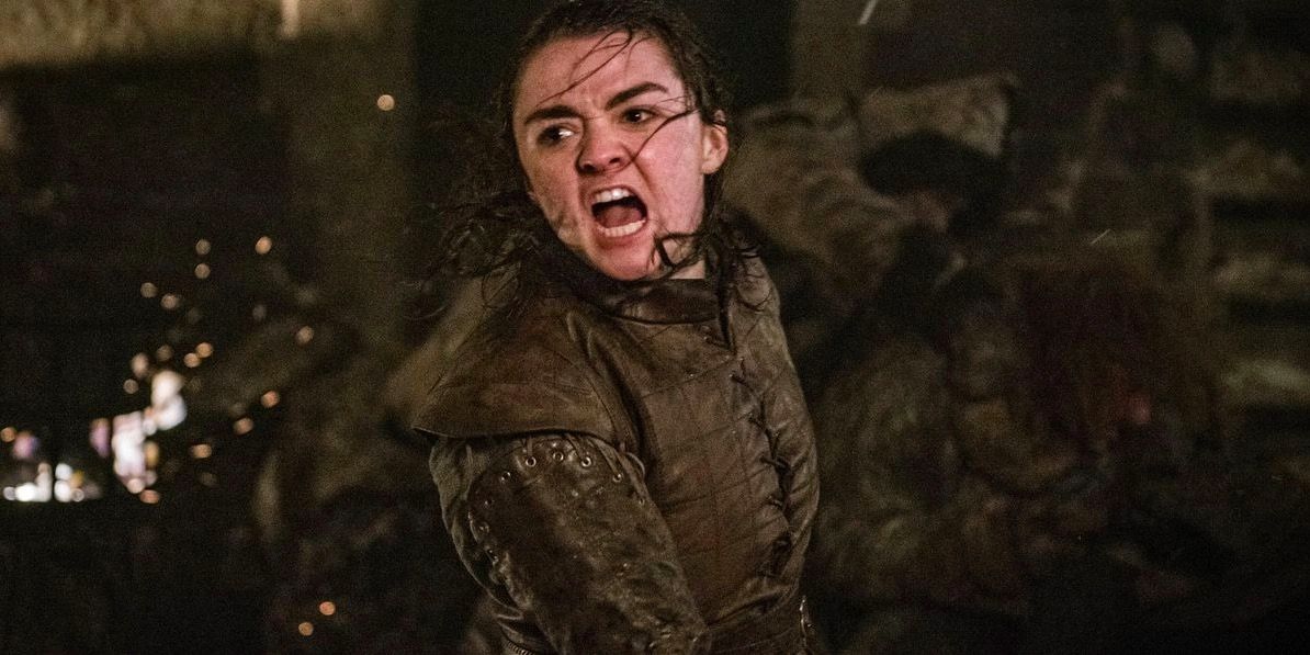 All The Clues You Missed About Arya Stark That Foreshadowed Her