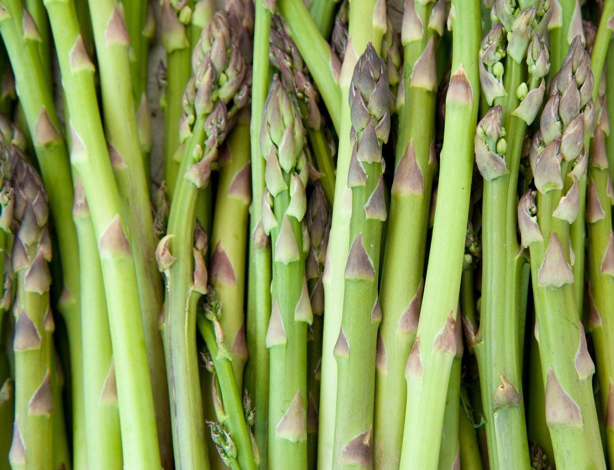 How To Grow Asparagus Tips For Planting Asparagus - 