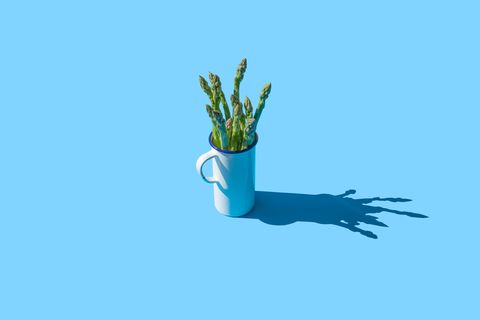 asparagus in a white cup on the blue background