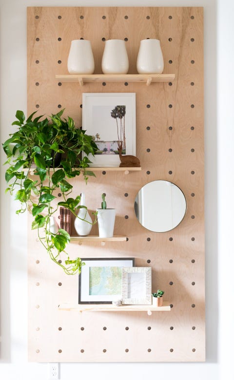 Shelf, Wall, Furniture, Room, Interior design, Shelving, Plant, Houseplant, House, 