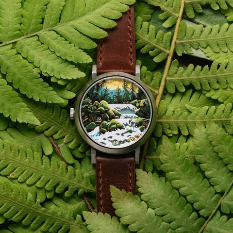 asterisk olympic jump hour automatic watch laying on top of leaves