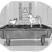 altatude, cartoon