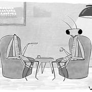 altatude, cartoon