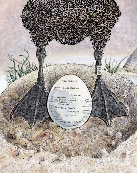 a proposal to introduce 
an endangered species to a group of california islands challenges assumptions about native habitats under global warming