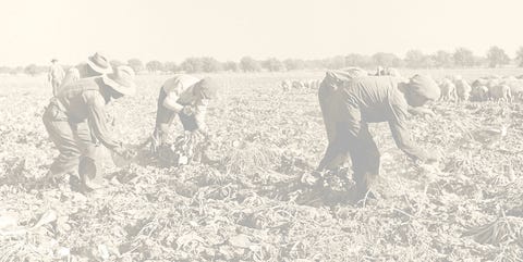 farmers