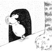 altatude, spring 2022, cartoon, susanna goldfinger
