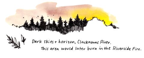 mia nolting, poem, how to draw the horizon