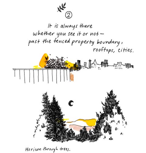 mia nolting, poem, how to draw the horizon