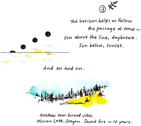 mia nolting, poem, how to draw the horizon