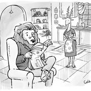 tyson cole, cartoon, summer 2021, altatude