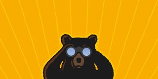 california bear