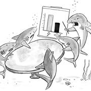 cartoon, ali solomon, altatude, issue 21