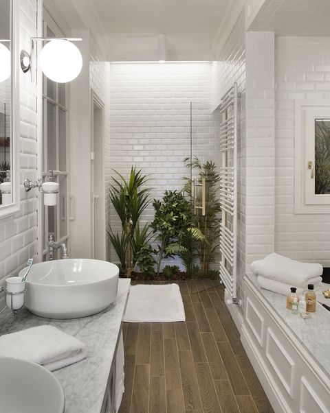 baño blanco con plantas de interior