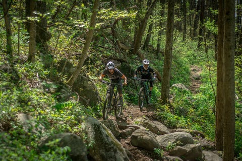 mountain biking for beginners best destinations