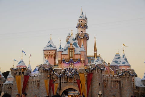 Disneyland Revoking Annual Passes of People Who Resell Merchandise