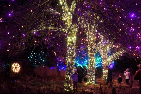 Botanical Gardens Christmas Party 2022 Best Winter Gardens In The World - Gardens To Visit In The Winter