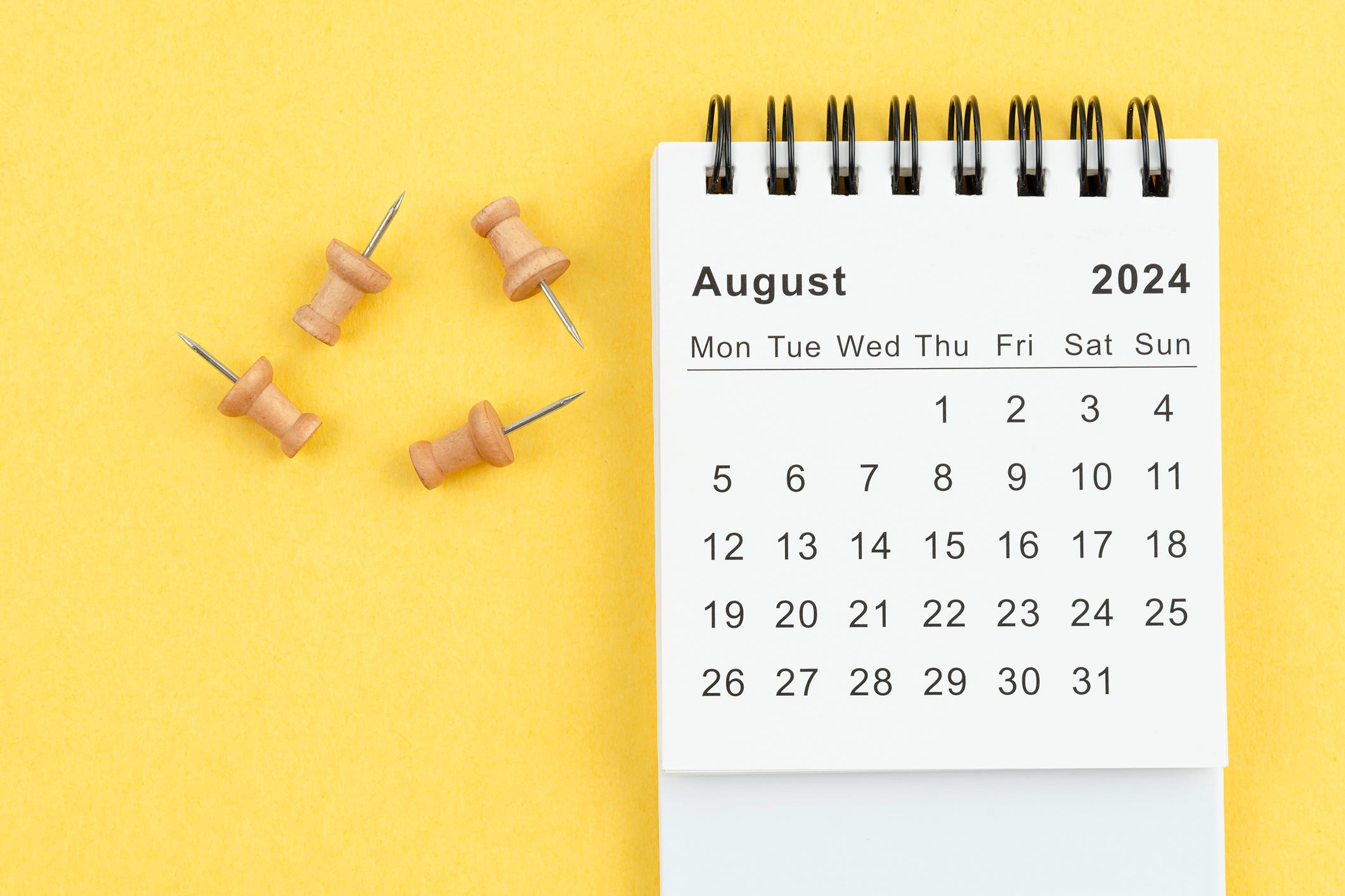 All the Major August Holidays and Observances in 2024 to Celebrate