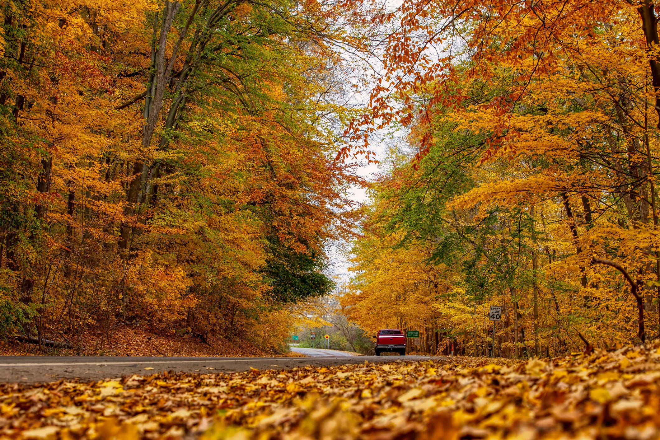 The Best Place to See Fall Foliage This Year, According to Meteorologists