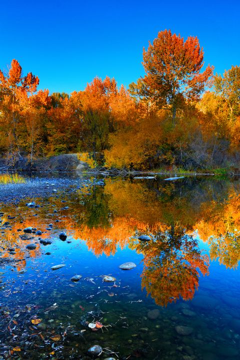 autumn colors reflected in lake in boise