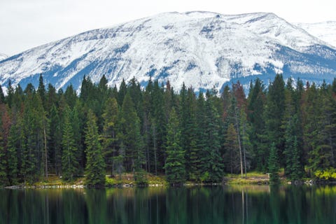 Autumn day reflections at a lake | Jasper National Park | Alberta | Canada