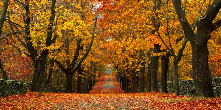 18 Best Fall Foliage Places To Visit In New England New England Fall Getaways 18 Best Fall Foliage Places To Visit In New England New England Fall Getaways