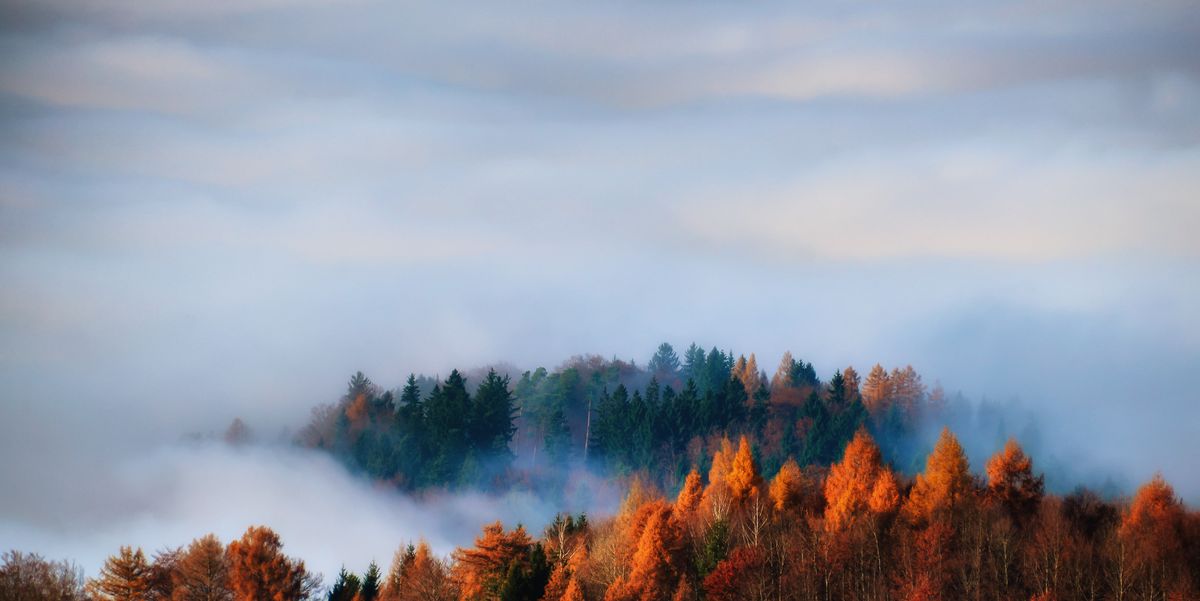 Things You Never Knew About Fall Facts About Autumn