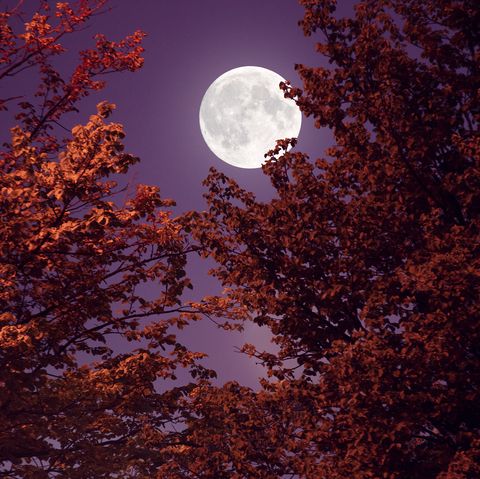 luna llena otoño