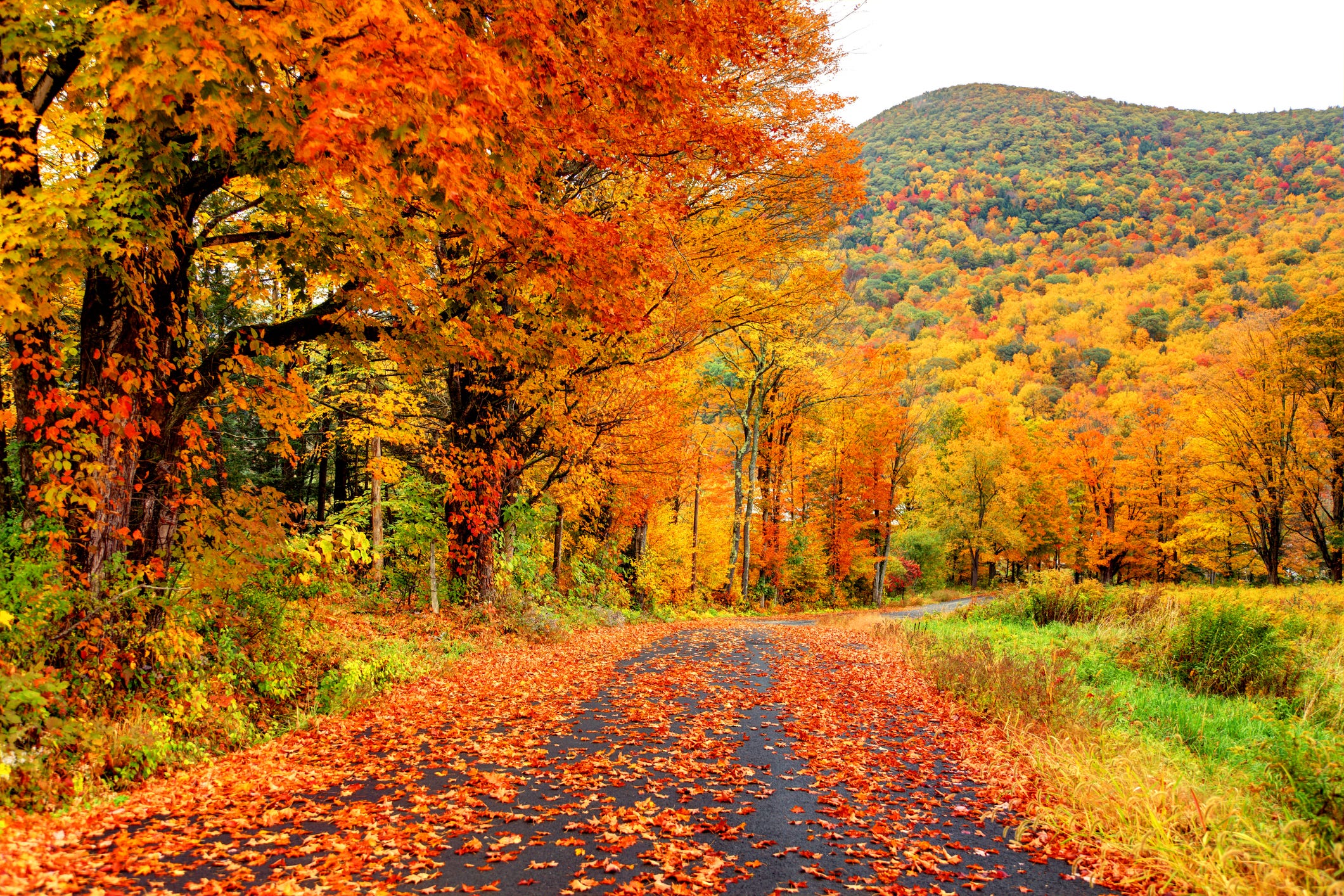 New England Fall Foliage: 15 Best Places to Visit for Peak Fall Colors