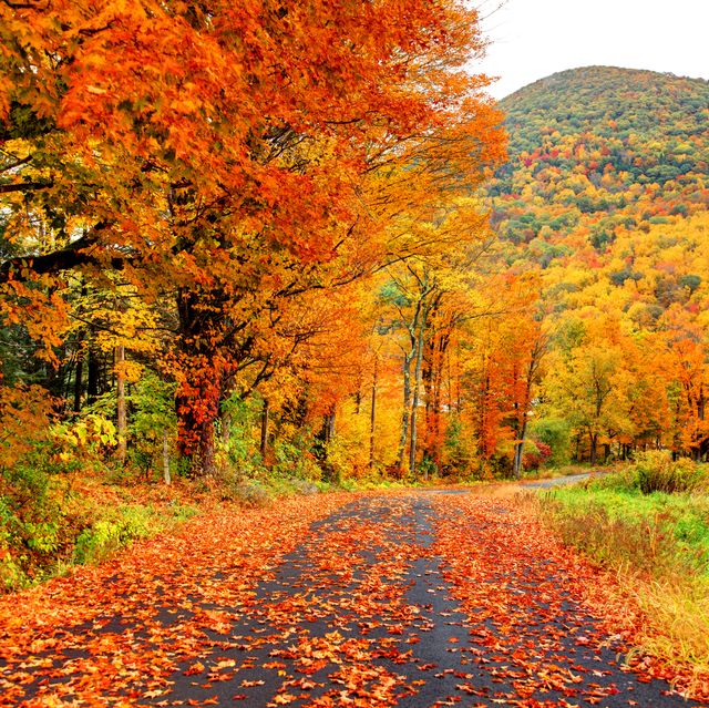 New England Fall Foliage 15 Best Places to Visit for Peak Fall Colors