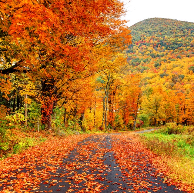 New England Fall Foliage: 15 Best Places to Visit for Peak Fall Colors