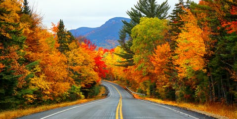 Image result for autumn