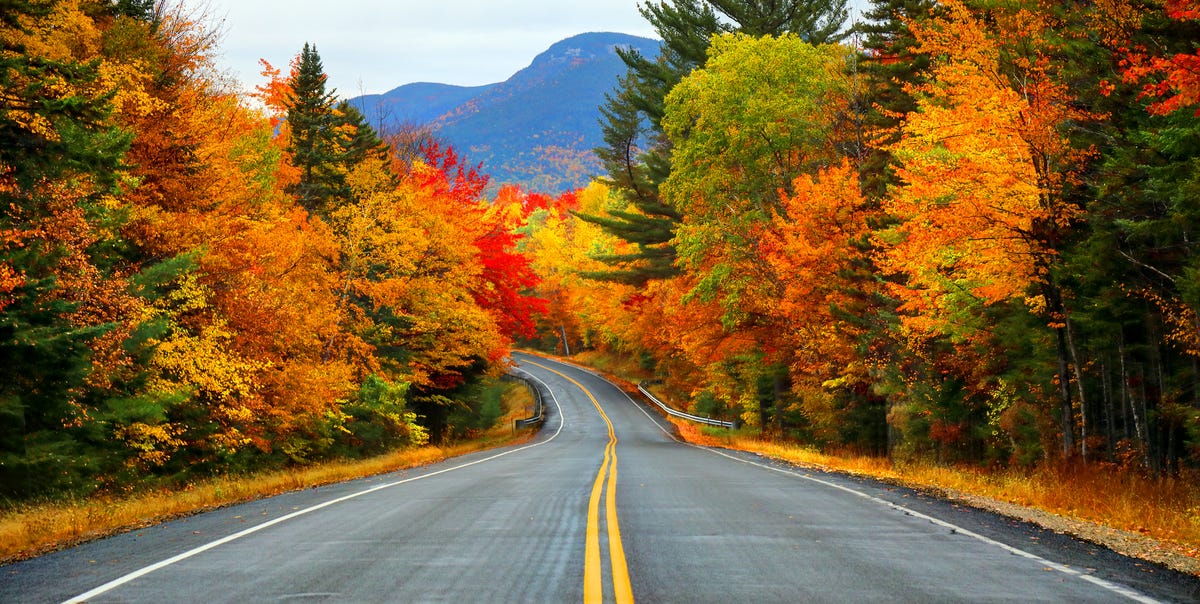 30+ Inspiring Fall Quotes - Best Quotes and Sayings About Autumn