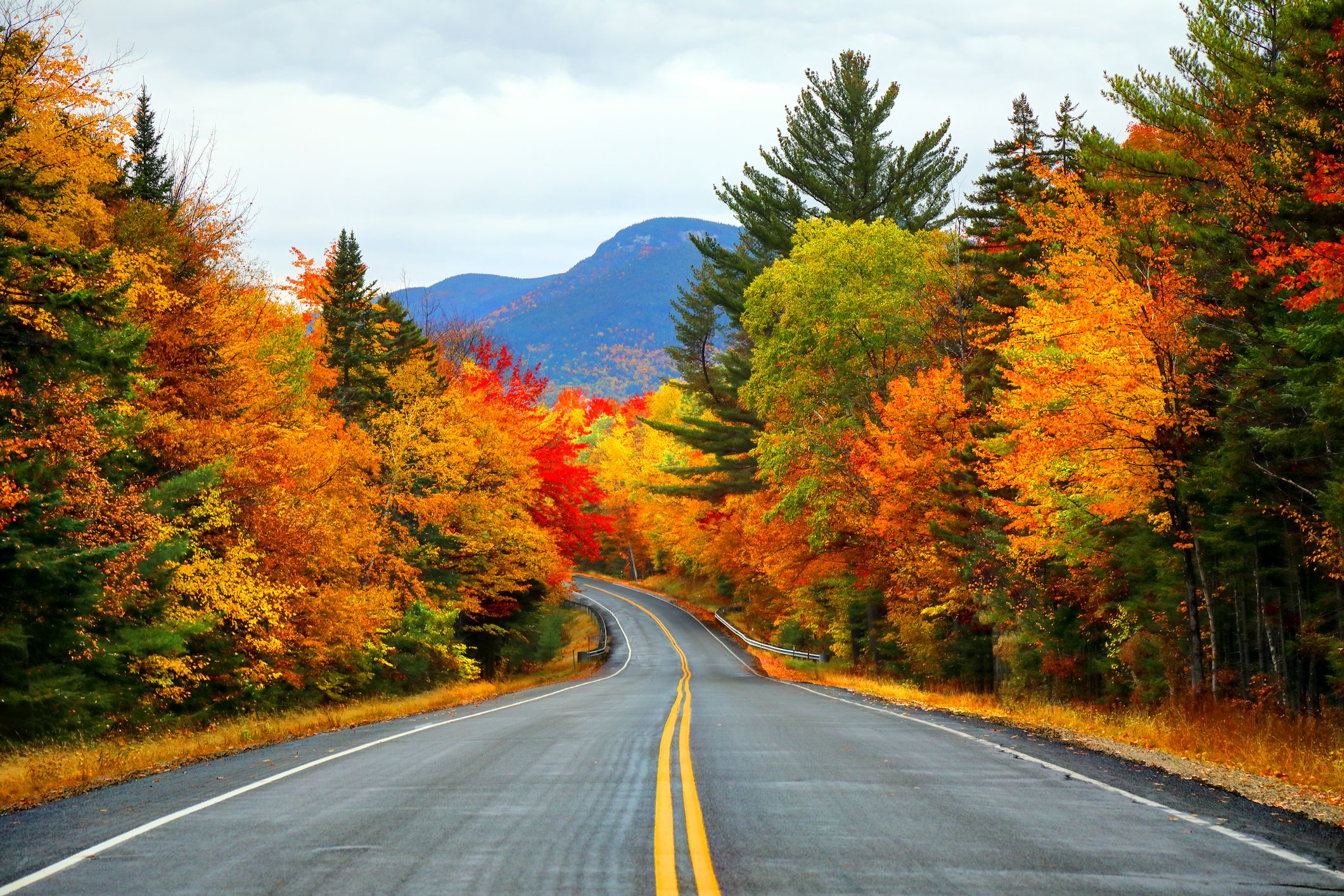 33 Beautiful Fall Foliage Pictures Around the World - Photos of Autumn  Leaves