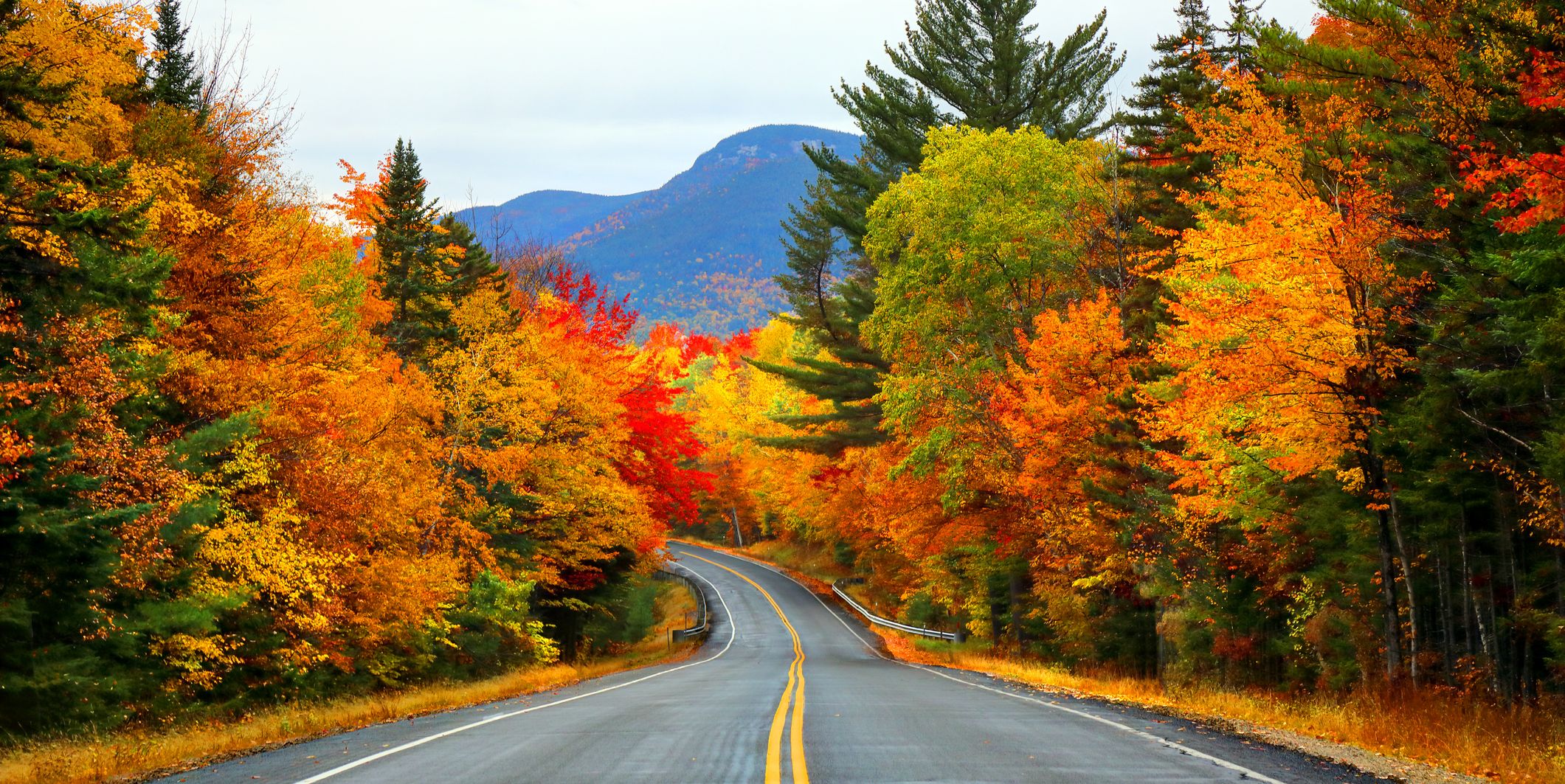 30 Beautiful Fall Foliage Pictures Around the World - Photos of Autumn Leaves