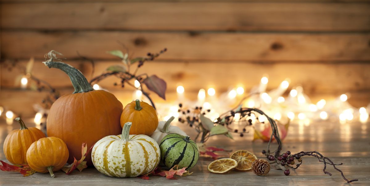 Best Fall Decor on Amazon in 2022